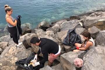 Limpieza de la escollera sur del muelle de Taliarte (Foto Pedro Martel/Wendy Cruz)
